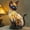 A, variant on Stained Glass Cat Table Lamp - Resin Cat-Shaped Stained Glass Lamp, Cute Cat Decor Lamp for Bedroom Living Room, Soft Ambient Lighting for Home, 4.7*3.5*6.3in, A