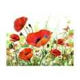 thumbnail image 3 of Tiptophomedecor Floral Wallpaper Wall Mural - Country Poppies, 3 of 4
