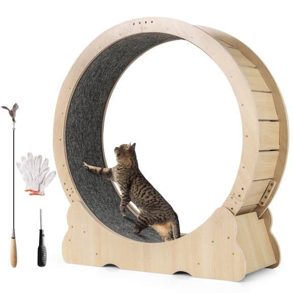 SAEWUD Cat Exercise Wheel with Carpet, Lockable Base & Non-Slip Design – Quiet Indoor Cat Running Wheel for Exercise & Training