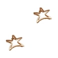 thumbnail image 1 of Qarigey Horquillas Barrettes Estrella de cinco puntas Clip de metal Pinza para el cabello Niñas Sombreros Hollow Simple Party Ponytail Holder Oro Mate 2Conjunto, 1 of 5
