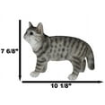 thumbnail image 2 of Standing Feline Gray Tabby Cat Kitten Figurine With Realistic Glass Eyes Decor, 2 of 9