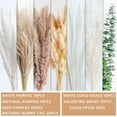 thumbnail image 4 of Pampas Grass Decor |Dried Eucalyptus Bouquet pompas Grass Boho Dried Floral Arrangement Centerpiece Table Decor Wedding Decor Rustic Decor, 4 of 8