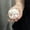 C-YHQ59-Chikawas, variant on Jhikwas Sakura Daifuku Cute Plush Pendant Usagi Hachiware Momonga Rakko Creative Doll Plush Doll Toy Friend Gift