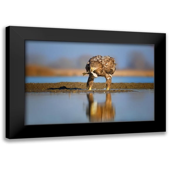 Chang, Phillip 14x11 Black Modern Framed Museum Art Print Titled - Dinner time