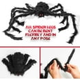 thumbnail image 5 of Giant Spider for Halloween Decoration, 29.5 inches 75cm Large Hairy Fake Spider Props, Realistic Scary Hairy Halloween Spider Decorations for Outdoor Indoor House Party Yard(Not Include Spider Web), 5 of 12