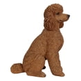 thumbnail image 5 of Hi-Line Gift Ltd Poodle Dog Sitting, 19.09-inch Height, Brown, 5 of 8