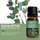 thumbnail image 3 of Aceites esenciales para difusores Lavanda Eucalipto Árbol de té Menta Romero Menta Bergamota Limón Rosa Aceite esencial puro 10 ml, 3 of 5
