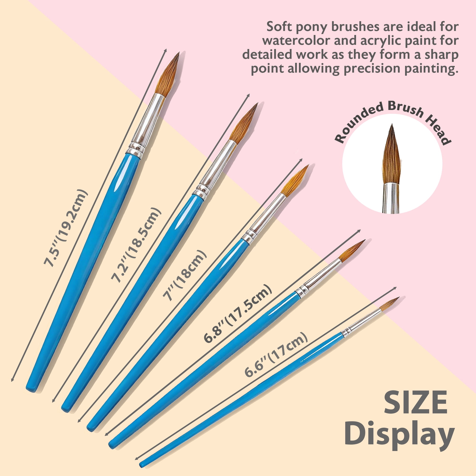 BAZIC Flat Natural Hair Paint Brush (5/Pack) / Box Qty - 24