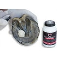 thumbnail image 2 of Sav-A-Hoof Protectant 7.5 oz, 2 of 8