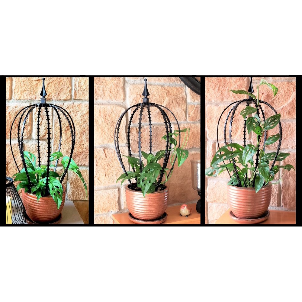 Scroll Trellis 15 inch Tall Black Vinyl Indoor Plant
