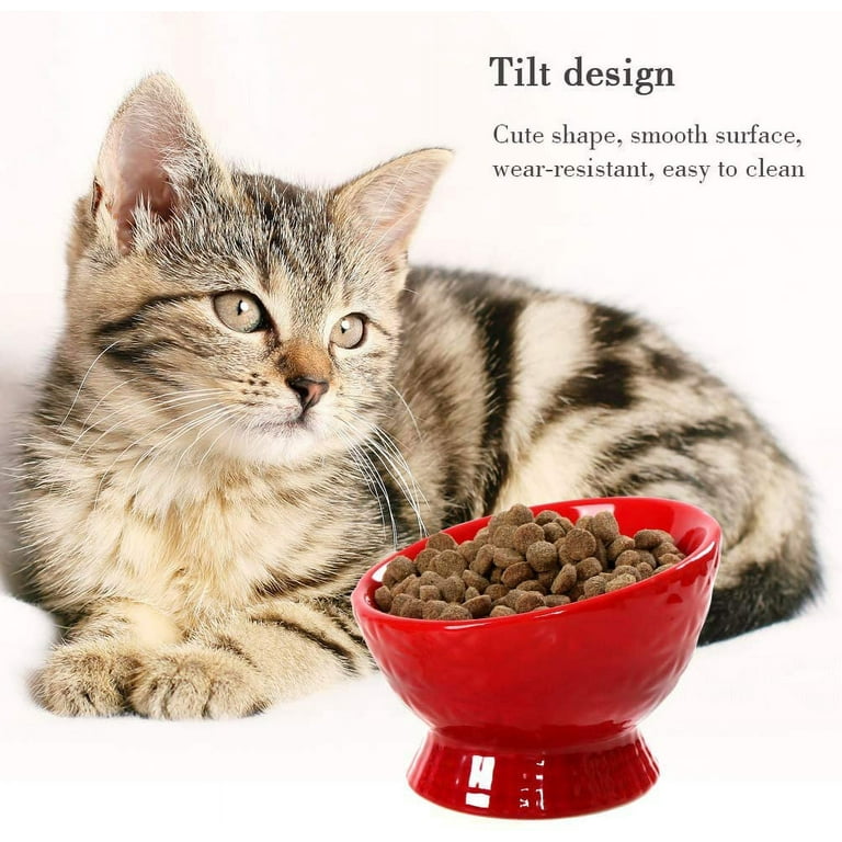 Elevated Ceramic Anti Vomiting Cat Food & Water Bowls + Wood Stand