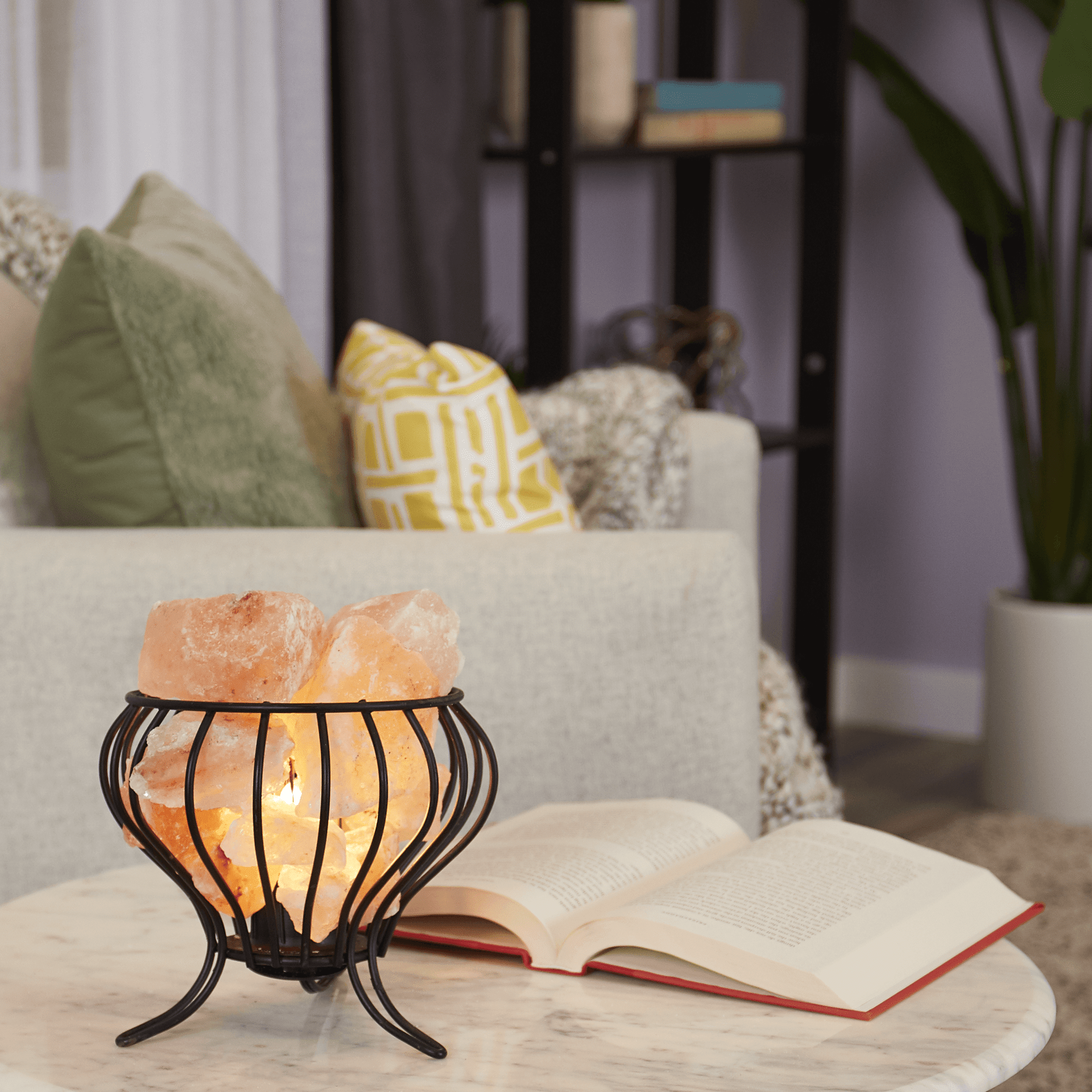 Salacia Himalayan Electric Feng Shui Basket Salt Lamp Lamps