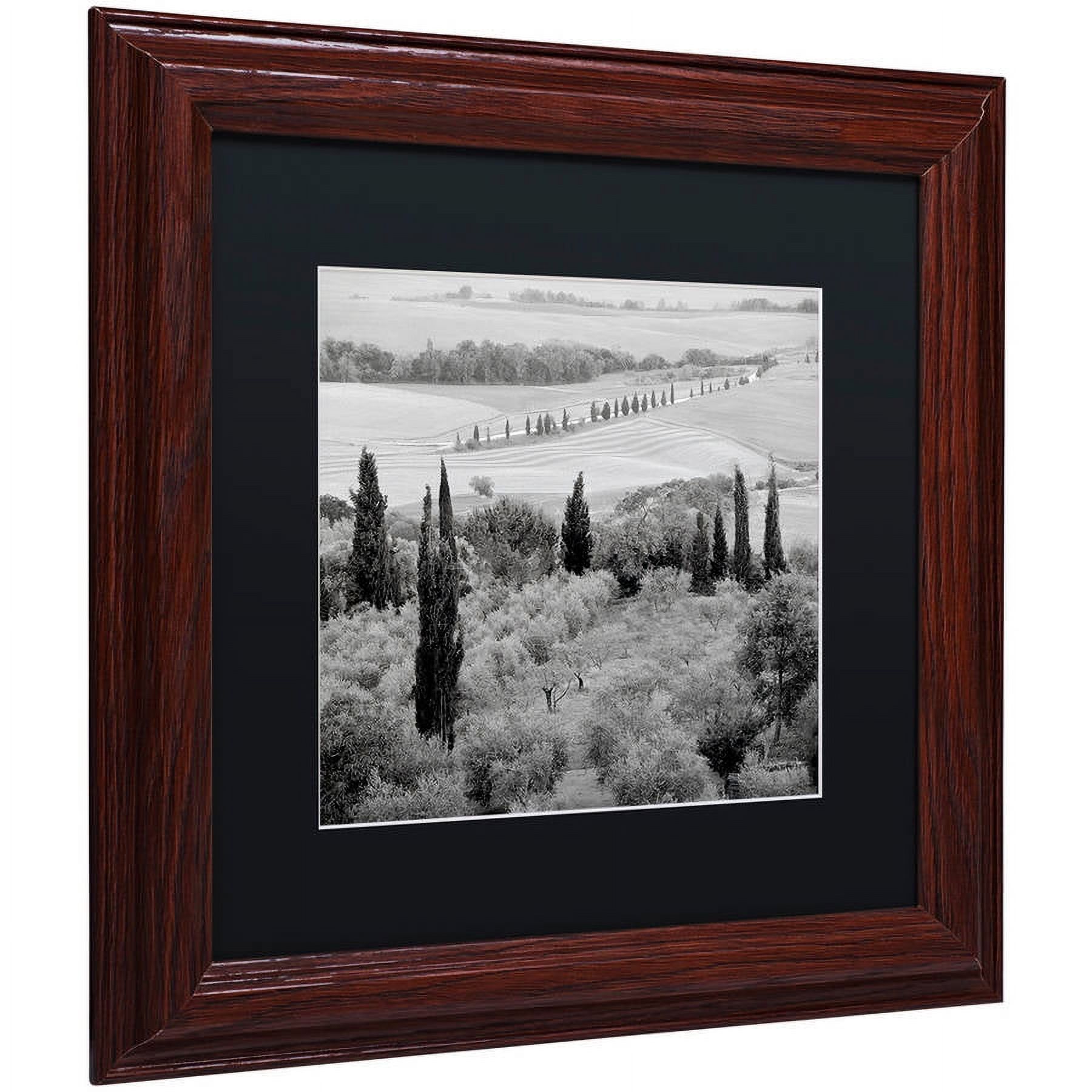 Trademark Fine Art "Tuscany X" Canvas Art by Alan Blaustein, Black Matte, Wood Frame