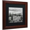 thumbnail image 2 of Trademark Fine Art "Tuscany X" Canvas Art by Alan Blaustein, Black Matte, Wood Frame, 2 of 4