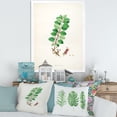 thumbnail image 3 of Designart 'Ancient Plant Life XVII' Farmhouse Framed Art Print, 3 of 4