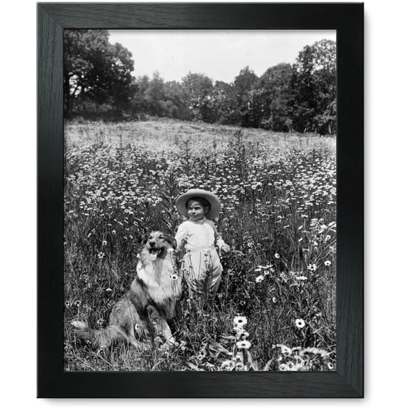 Framed Print: Child And Collie In Field Of Wildflowers, 1905