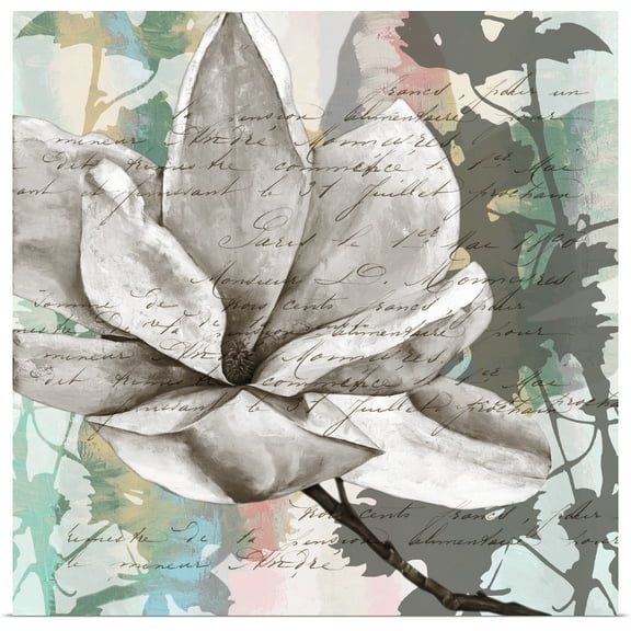 Great BIG Canvas | "Pastel Magnolias II" Art Print - 20x20