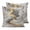 Gray, variant on Sea Turtle Coastal 20x20 Pillow Covers Set of 2, Summer Beach Coral Ocean Nautical Throw Pillow Covers Decorative Couch Cushion Case, Microfiber Square Pillowcases for Bedroom Car Living Room