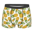 thumbnail image 3 of Haiem Pineapple Men's Boxer Briefs, Every Day Comfort Stretch Cotton Moisture-Wicking Underwear-Small, 3 of 8