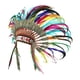 thumbnail image 1 of Tocados Indios con Plumas Artificiales Diadema de Disfraz Banda para el Cabello Accesorio de Carnaval Material de Tela y Plumas Adecuado para Fiestas Temáticas Festivales Fotografía, 1 of 8