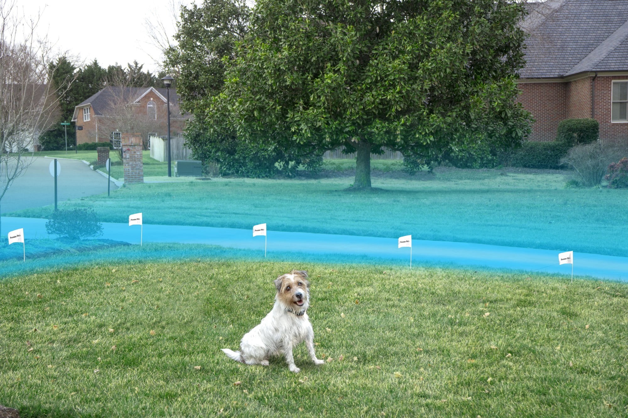 Premier Pet In-Ground Fence with Tone/Beep and Static- Cover up to 5 Acres