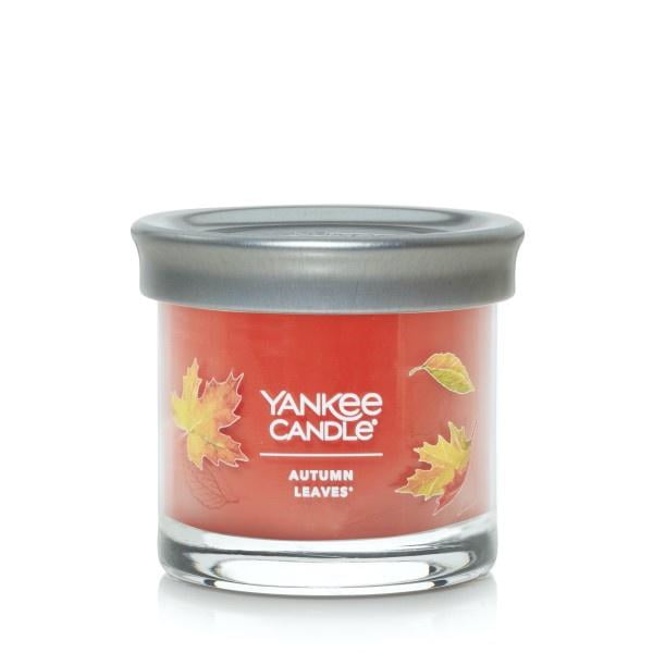 Yankee Candle Small Tumbler Scented Single Wick Jar Candle, Autumn Leaves, 4.3 oz (Pack of 2)