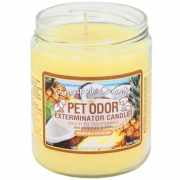 - Pet Odor Exterminator Candle - Pineapple Coconut Jar (13 oz)