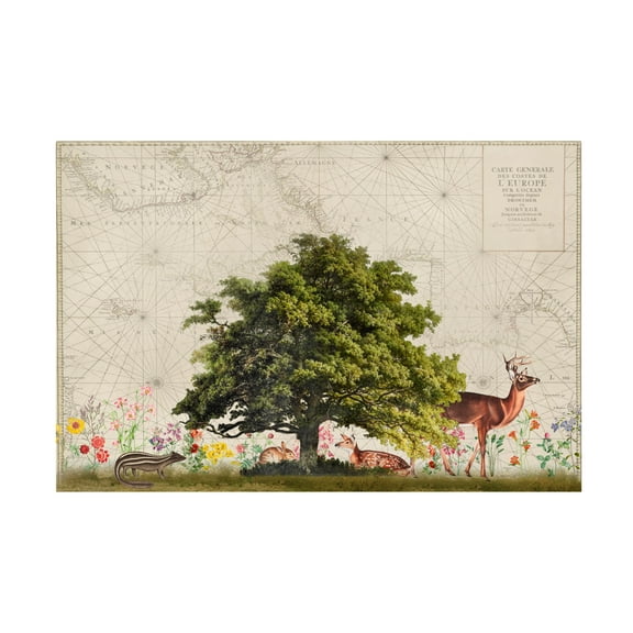 Trademark Fine Art Andrea Haase Nordic Woods No2 Canvas Wall Art