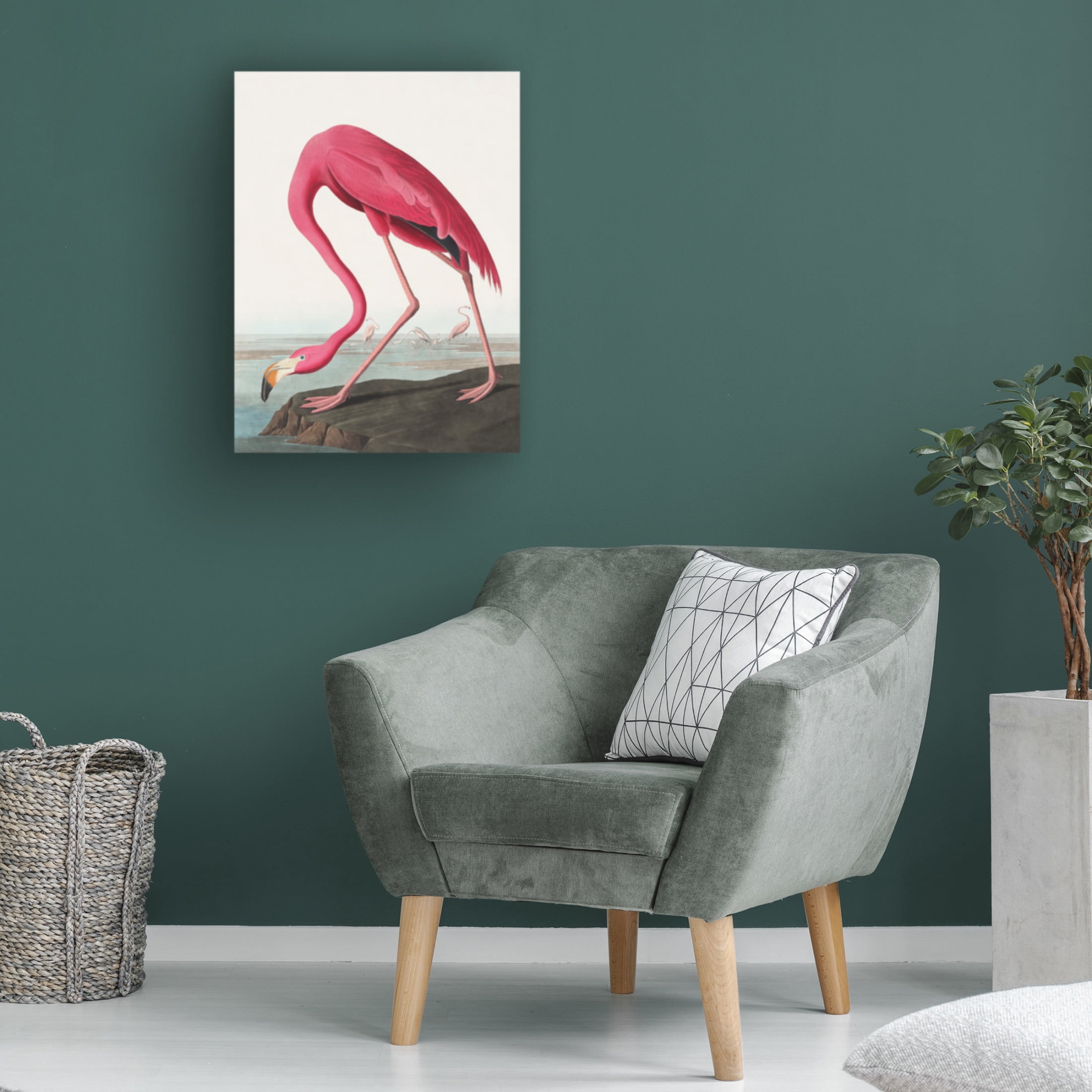 Trademark Fine Art Pictufy Pink Flamingo Ii From Birds of America Canvas Wall Art