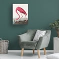 thumbnail image 4 of Trademark Fine Art Pictufy Pink Flamingo Ii From Birds of America Canvas Wall Art, 4 of 4