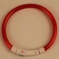 thumbnail image 3 of Collier pour Chien Rechargeable LED Clignotant Lumineux de Nuit avec Collier pour Chiots, 3 of 5