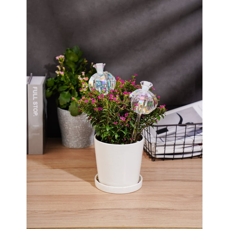 NiHome Glass Cactus Self-Watering Globes, 2-Pack photo 8