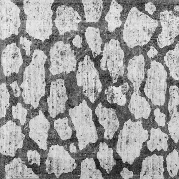 Ahgly Company Indoor Square Abstract Gray Contemporary Area Rugs, 5' Square