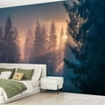 thumbnail image 2 of Peel and Stick Wallpaper Waterproof Morning forest Stunning light rays from rising sun foggy spruce forest Wall Mural Decor Self Adhesive and Removable 69in x 98in, 2 of 8