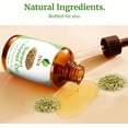 thumbnail image 4 of SVA Sweet Fennel Essential Oil – 4 Fl Oz – 100% Natural Fennel Oil - for Diffuser, Hair Care, Face, Skin Care, Aromatherapy, Scalp and Body Massage, Soap and Candle Making – with Dropper, 4 of 8