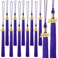 thumbnail image 4 of Harlier 10 Pieces 2025 Graduation Cap Tassel With Year Gold Charms Decoration - Graduation Season Accessories for Graduate Hat Ceremonies, 4 of 9