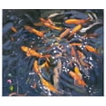 thumbnail image 1 of Great BIG Canvas | Rolled Andrew Macara Poster Print entitled Goldfish, 2010, 1 of 4