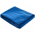 thumbnail image 4 of Toldo Reforzado Impermeable Lona Multiusos Con Ojales Seleccione medida - color :Azul - 2X3M. (Azul), 4 of 5