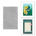thumbnail image 6 of Spellbinders 3D Embossing Folder Bundle, 6 of 7