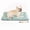 Blue, variant on Dog Crate Mats with Non Slip Bottom Washable Dog Bed for Cage Soft Dog Crate Pad with Star Pattern, Gray, 22*13