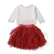 Toddler Baby Girls 2pcs Clothes Sets Lace Hollow Shirts Ruffled Tulle Tutu Skirt Princess Birthday Party Dress Outfit
