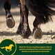thumbnail image 5 of Suplemento Farnam Horseshoer's Secret EXTRA STRENGTH 1,7 kg, 5 of 8