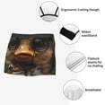 thumbnail image 6 of Balery Vintage Gentleman Duck Men's Boxer Briefs, Soft and Breathable Cotton Underwear with nylon Waistband-X-Large, 6 of 9