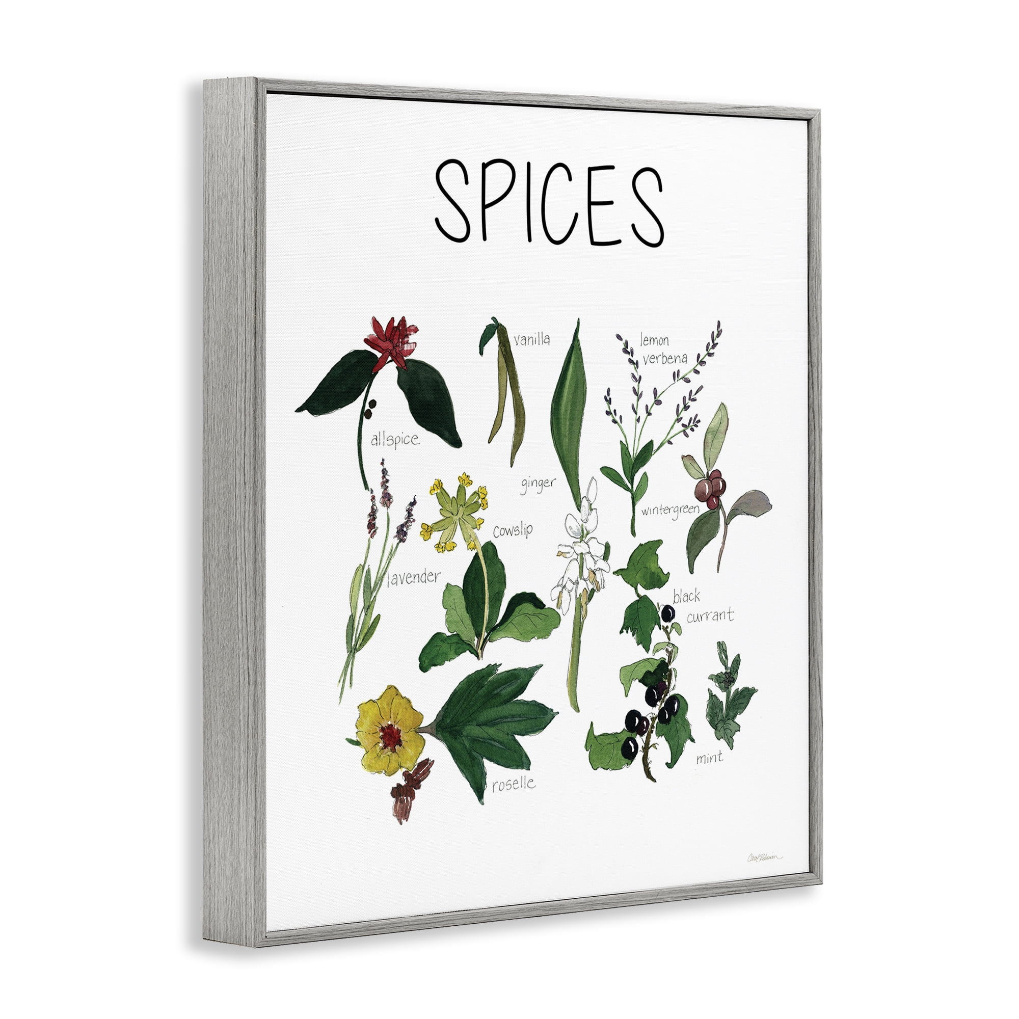 Stupell Industries Spices Identification Chart Gray Framed Giclee Art, design by Carol Robinson