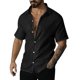 thumbnail image 1 of Blusa y camisa de manga corta con cuello vuelto para hombre, camisa de manga corta con botones y solapa de color liso, blusa para hombre, 1 of 6