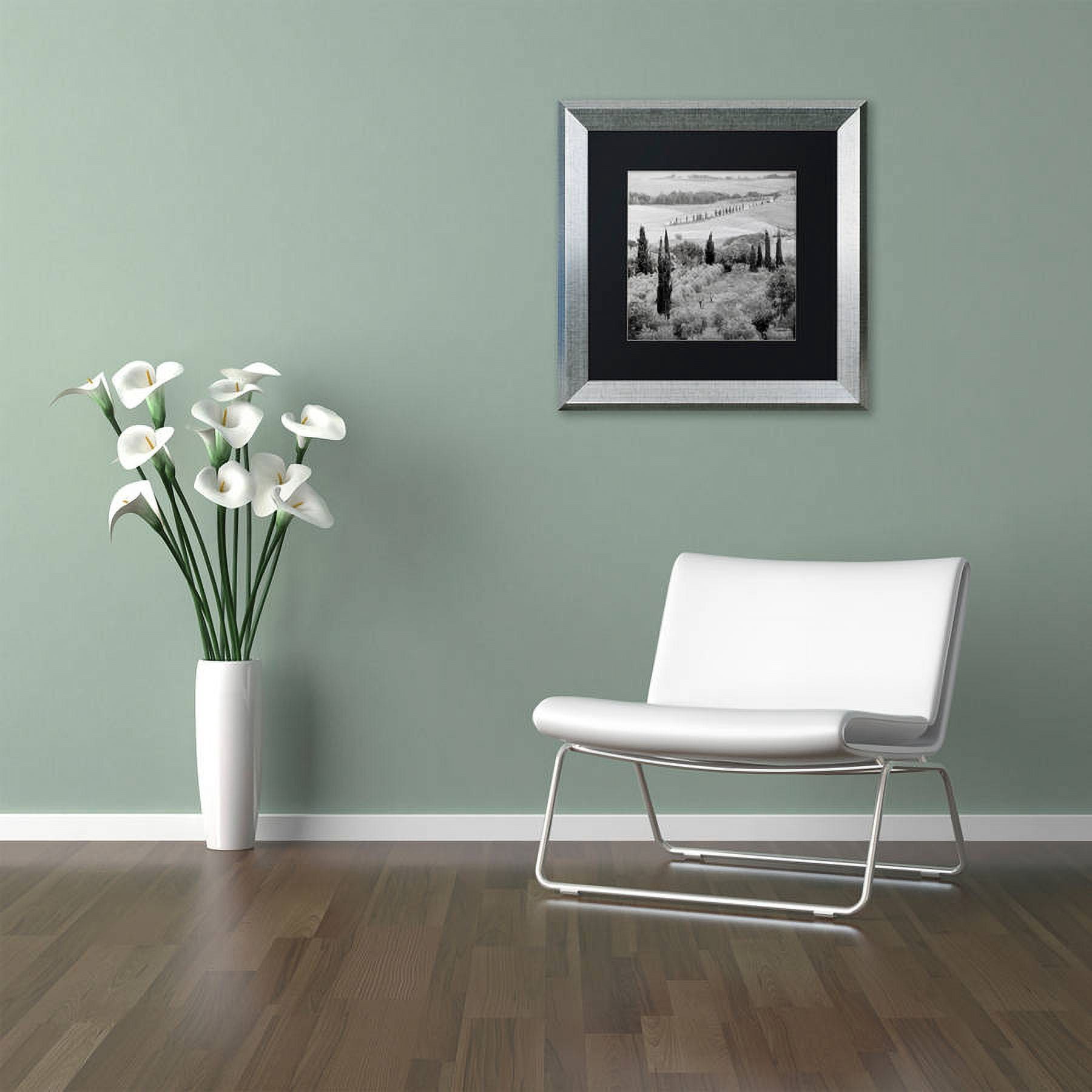 Trademark Fine Art "Tuscany X" Canvas Art by Alan Blaustein, Black Matte, Silver Frame