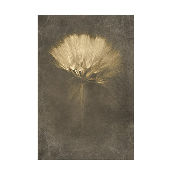 Canvas Wall Art - Cicek Kiral 'Mysterious Days' Wall Art for Living Room, Bedroom, or Office D?cor by Trademark Fine Art - 12 x 19 Inches