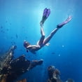 thumbnail image 2 of Set de Snorkel ZEEPORTE Máscara y Aletas con Equipo para Adultos + Bolsa, 2 of 7
