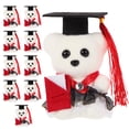 thumbnail image 4 of KAKOWELY 10 piezas de oso de peluche para decoración de graduación, muñeco de peluche para mesa., 4 of 4