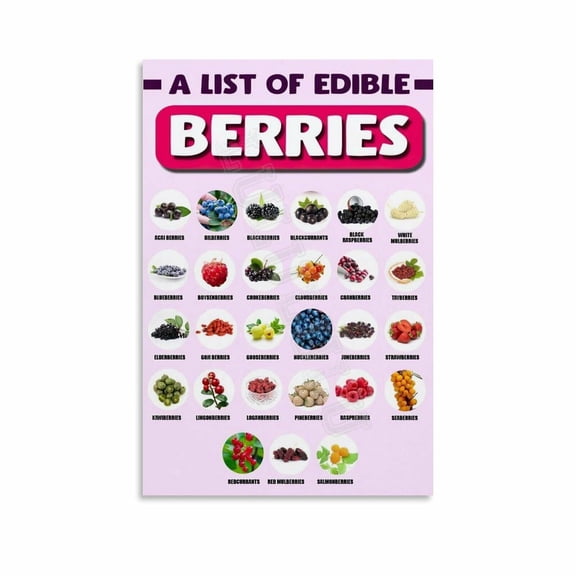 Berries Types Chart Guide Poster Health Kitchen Wall Art (11) Canvas Painting Wall Art Poster for Bedroom Living Room Decor